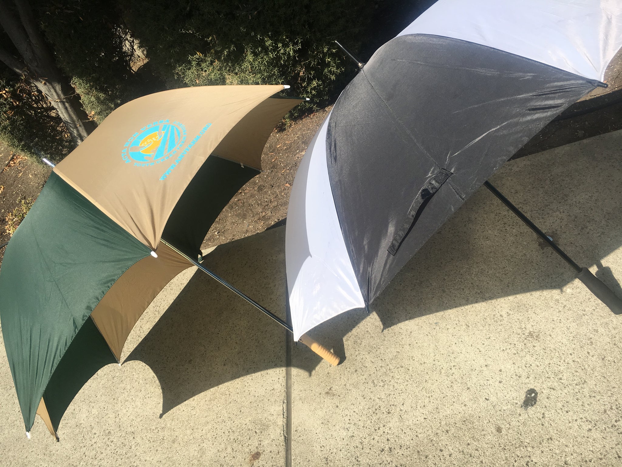 ANV Umbrella